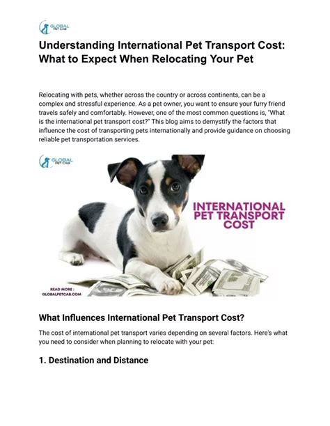 low cost pet shipping international.